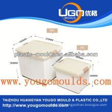 container plastic mould yougo mould